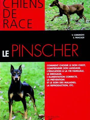 Chiens de race - Le Pinscher