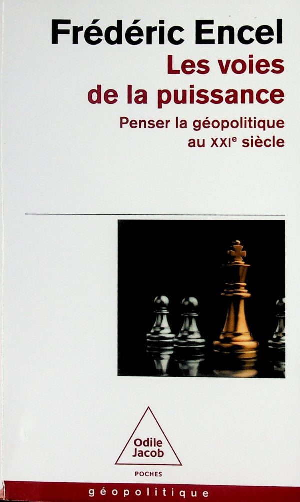 Les voies de la puissance: penser la géopolitique au XXIe siècle