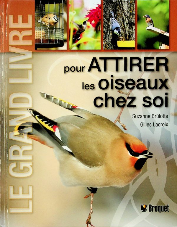 Le grand livre pour attirer les oiseaux chez soi