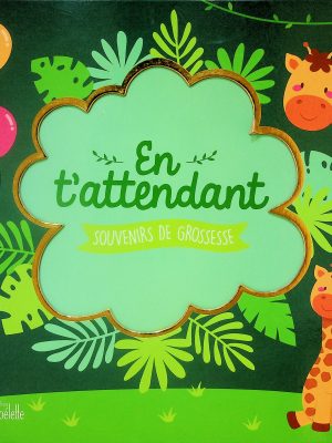 En t'attendant - Souvenirs de grossesse