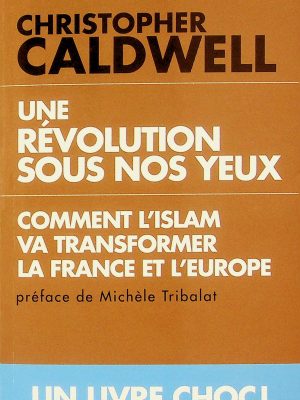 Une révolution sous nos yeux