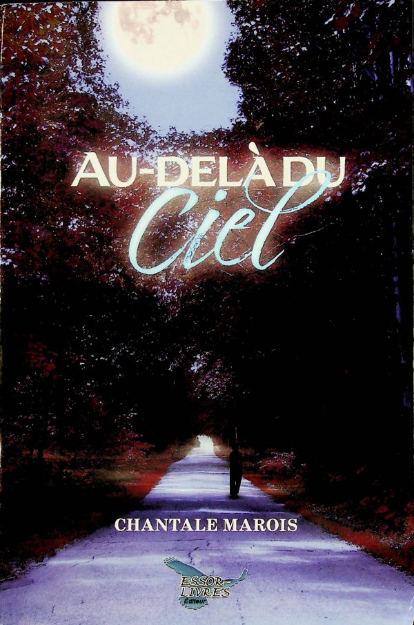 Au-delà du ciel
