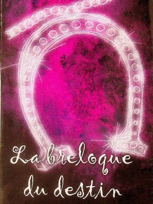Visions T. 05 - La breloque du destin
