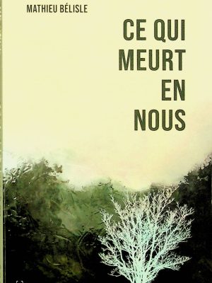 Ce qui meurt en nous