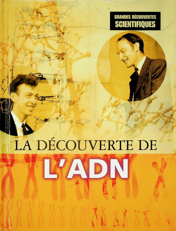 La découvert de l'ADN