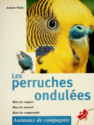 Animaux de compagnie - Les perruches ondulées