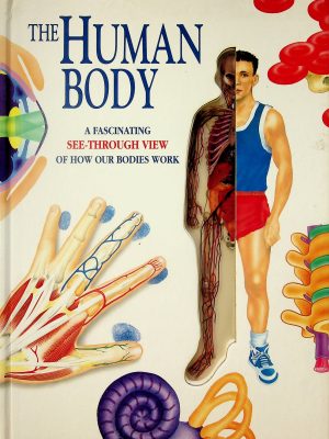 The human body