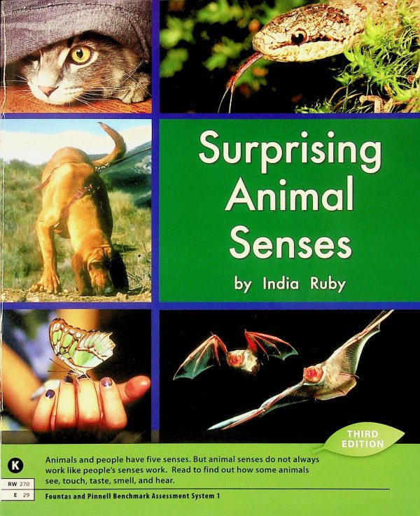 Surprising animal senses