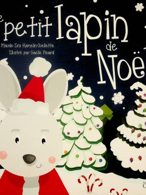 Le petit lapin de Noël