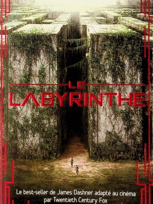 Le labyrinthe T. 01