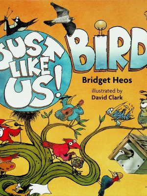 Just like us! Birds