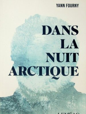 Dans la nuit arctique