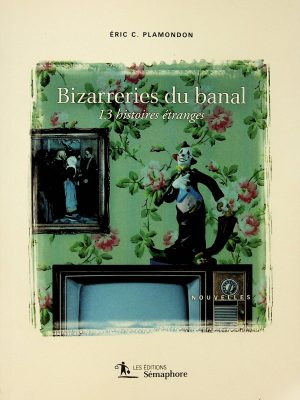 Bizarreries du banal - 13 histoires étranges