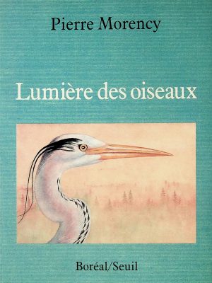 Lumière des oiseaux