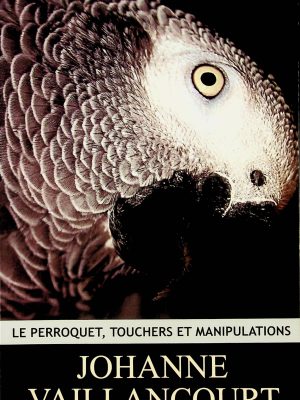Le perroquet, touchers et manipulations