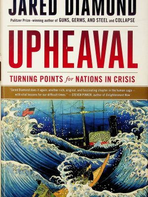 Upheaval - Turning Points for Nations in Crisis