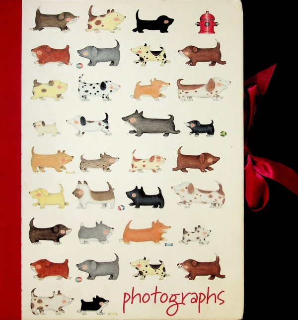 Photographs