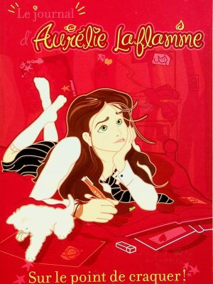 Le journal d'Amélie Laflamme T. 02 - Sur le point de craquer!