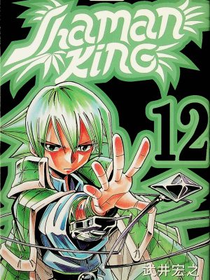 Shaman King T. 12