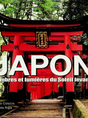 Japon - Ombres et lumières du Soleil levant