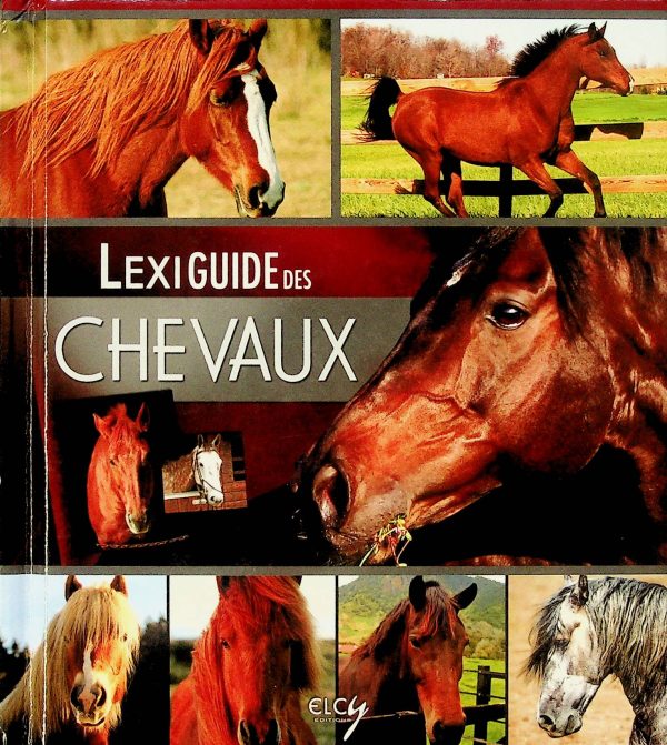 LexiGuide des chevaux