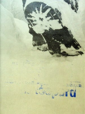 Le léopard