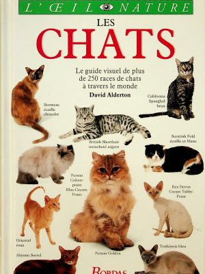 L'oeil nature - Les chats