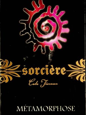 Sorcière T. 08 - Métamorphose