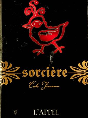 Sorcière T. 07 - L'appel