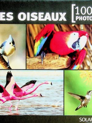 Les oiseaux - 1001 photos