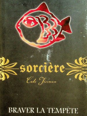 Sorcière T. 13 - Braver la tempête