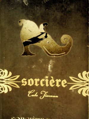 Sorcière T. 03 - Sorcière de sang