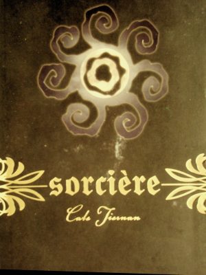 Sorcière T. 02 - Le cercle