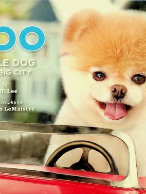 Boo little dog in the BIG CITY