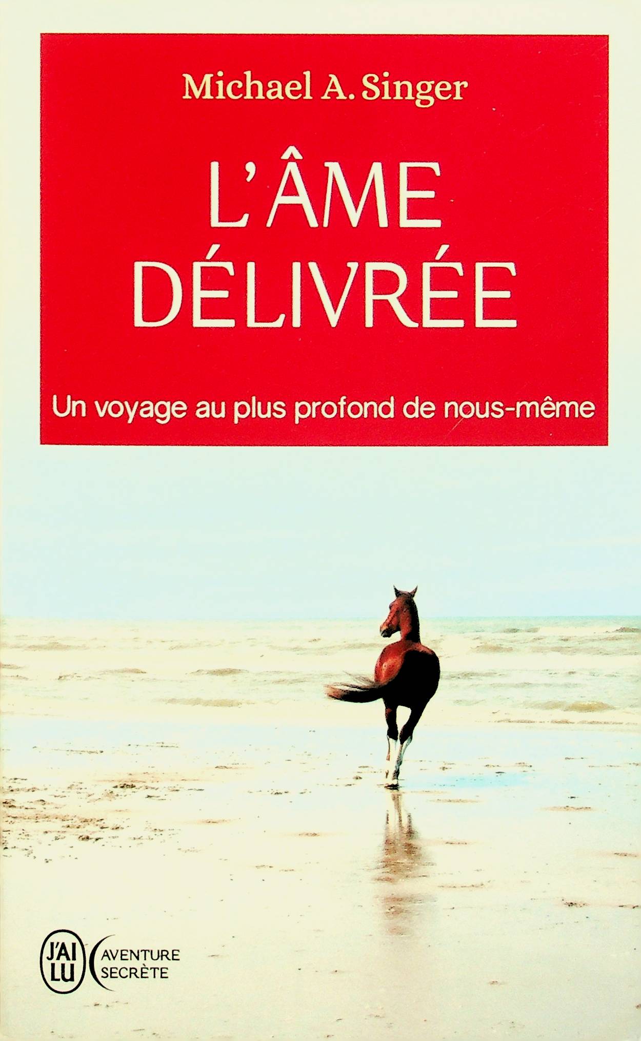 Ordilivres - L&rsquo;âme délivrée: Une voyage au plus profond de nous même